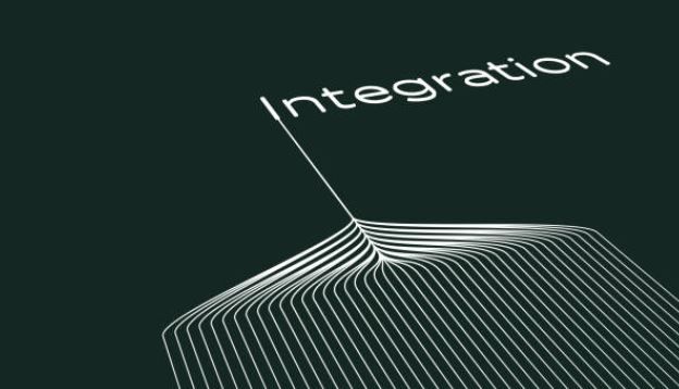 integrated-vs-disintegrated