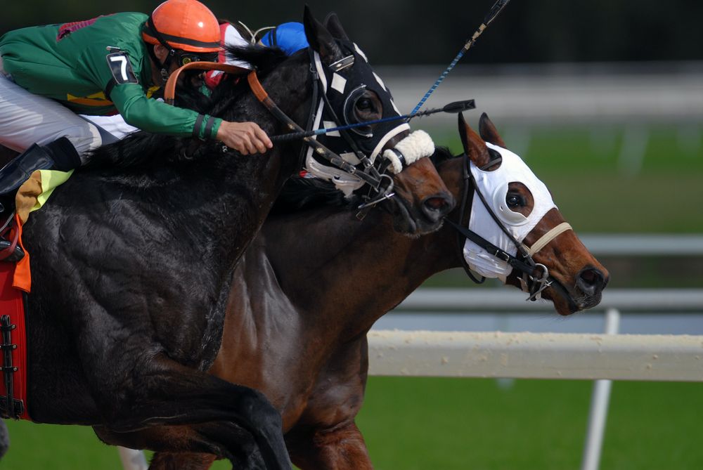 The Racetrack of Life