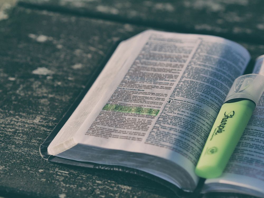 Nourished up in the words of faith