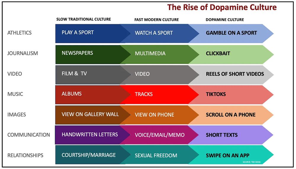 The Dopamine Addict