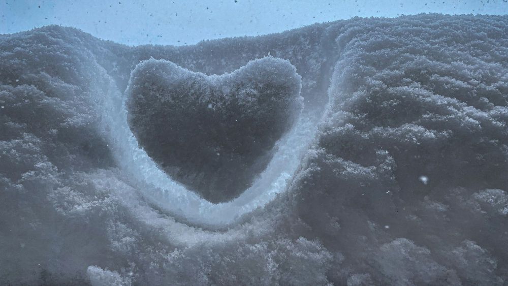 The Deceitful Heart: Why Jesus Knows We Need Transformation