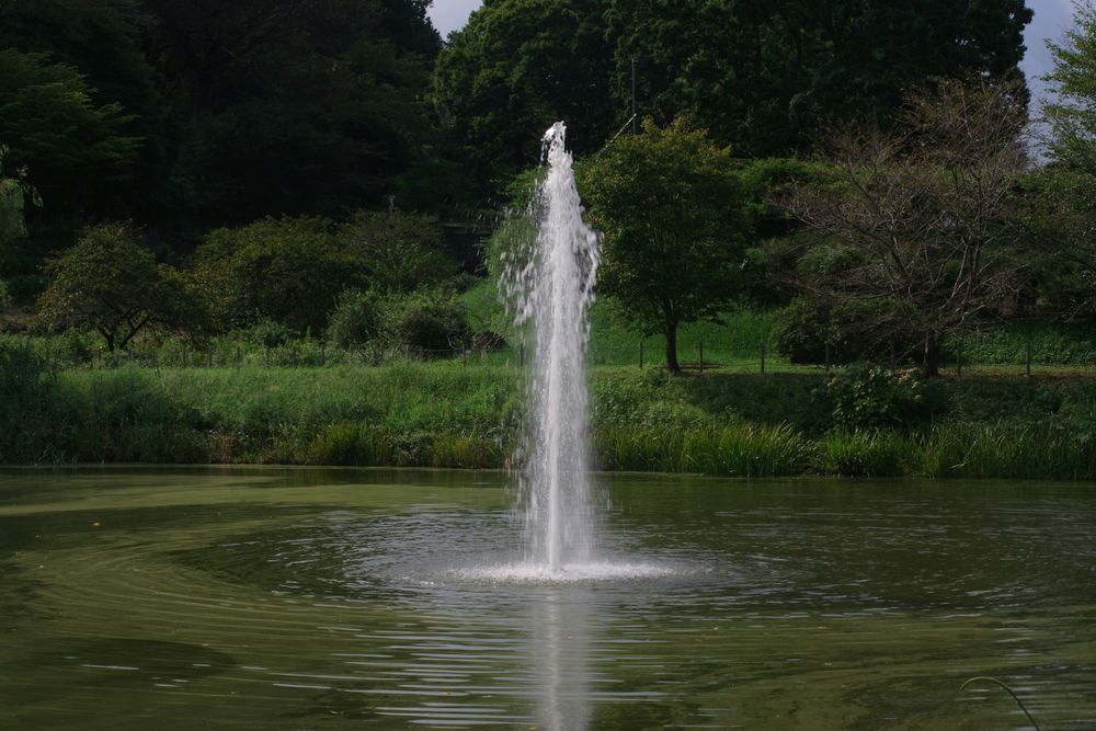 Fountain vs Faucet
