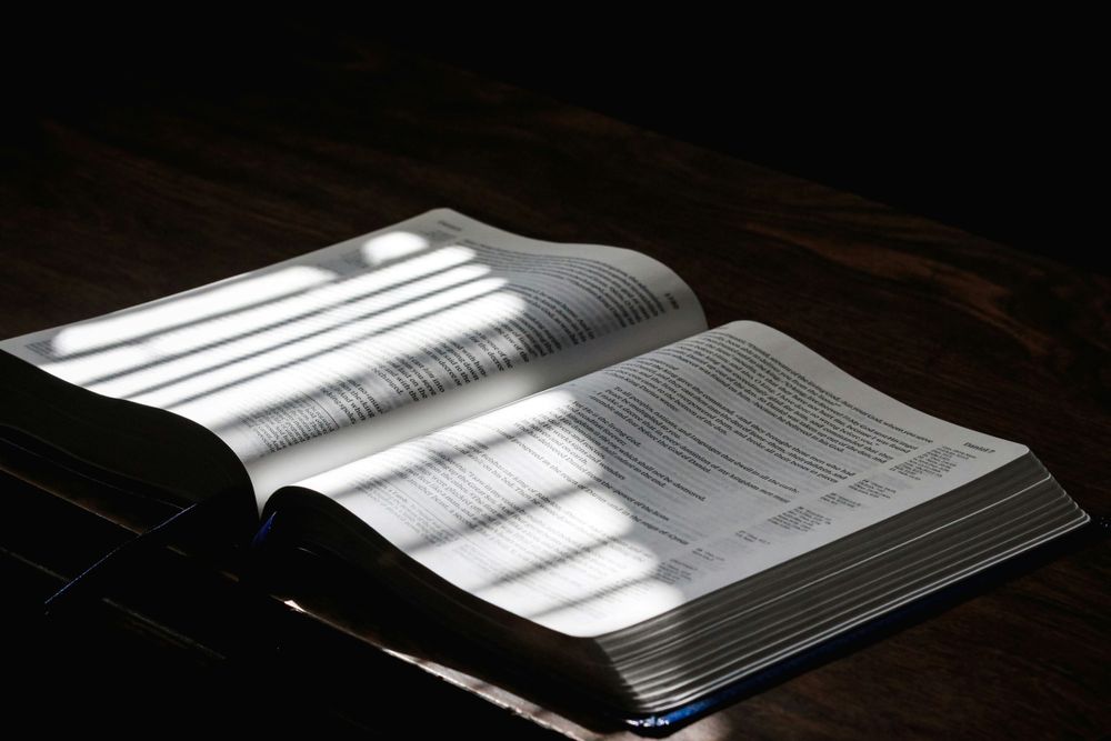 Submit or Rebel: Your Only Two Options with God's Word