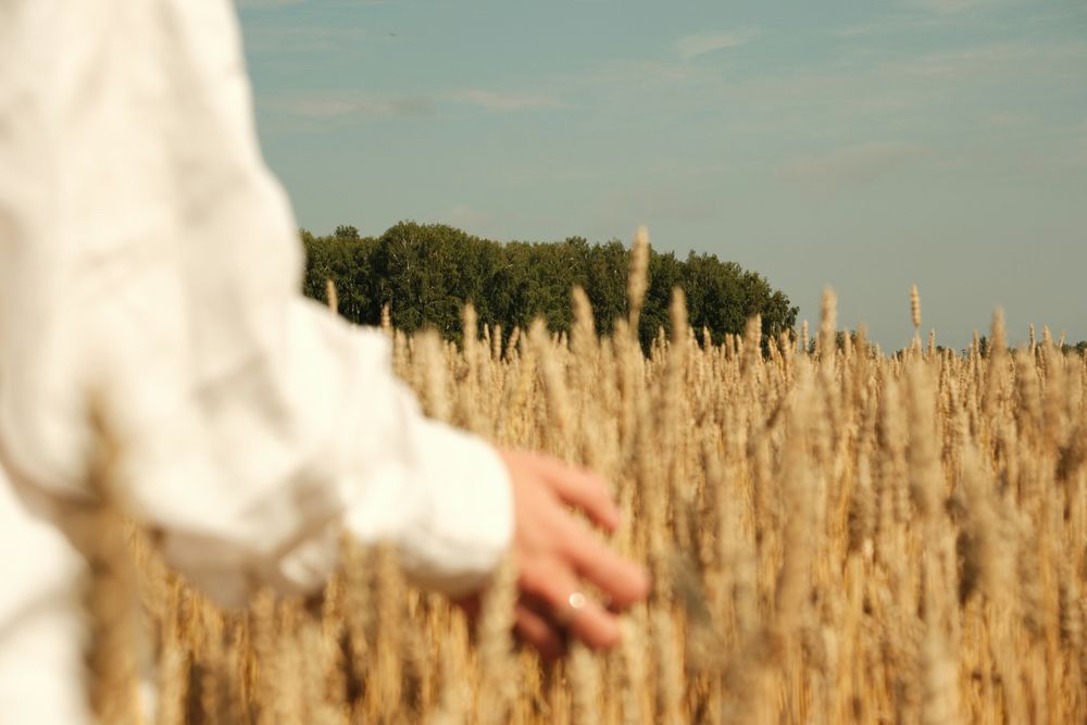 The Idolatry of the Bottom Line