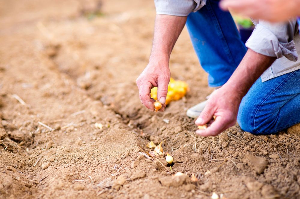 The Harvest Isn't Your Department