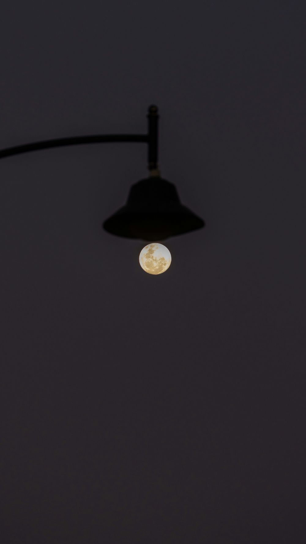 Borrowed Light