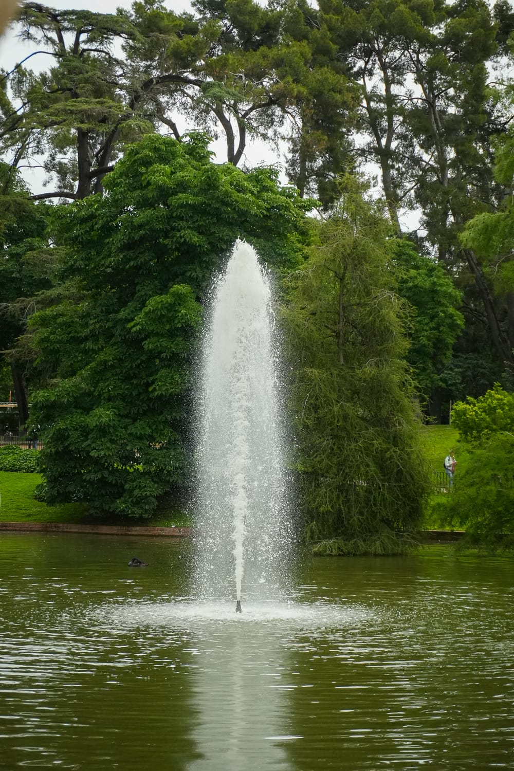 You Were Never Meant to Be a Fountain