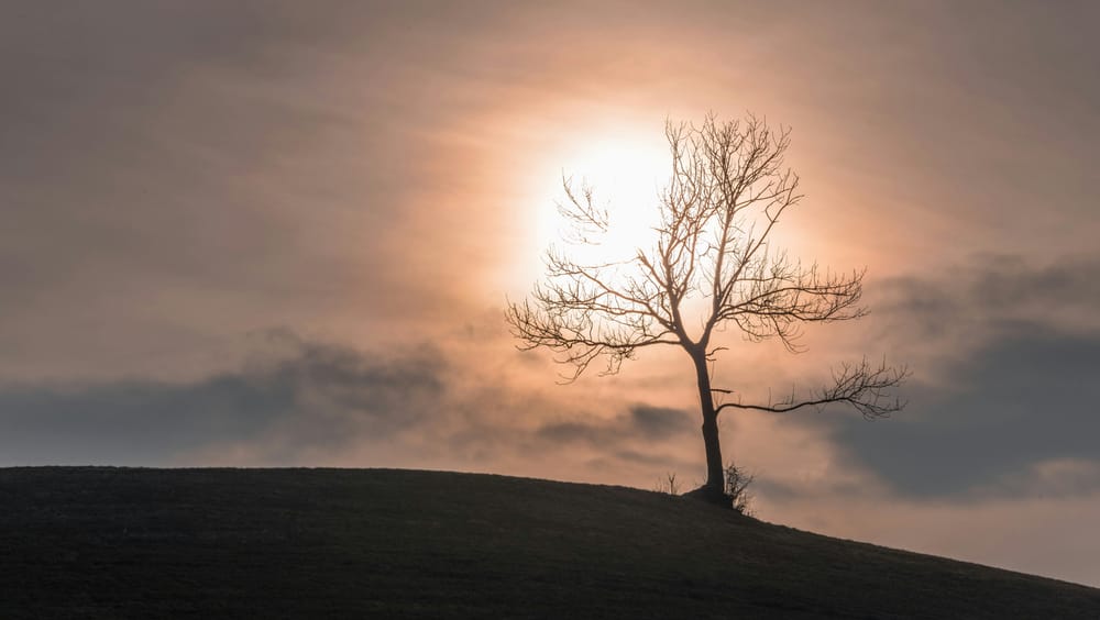 The Father Never Left Jesus Alone, Except Once