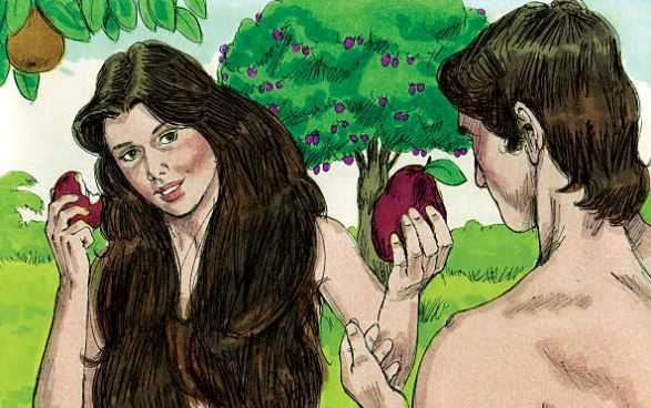 Adam & Eve = 2 Genders