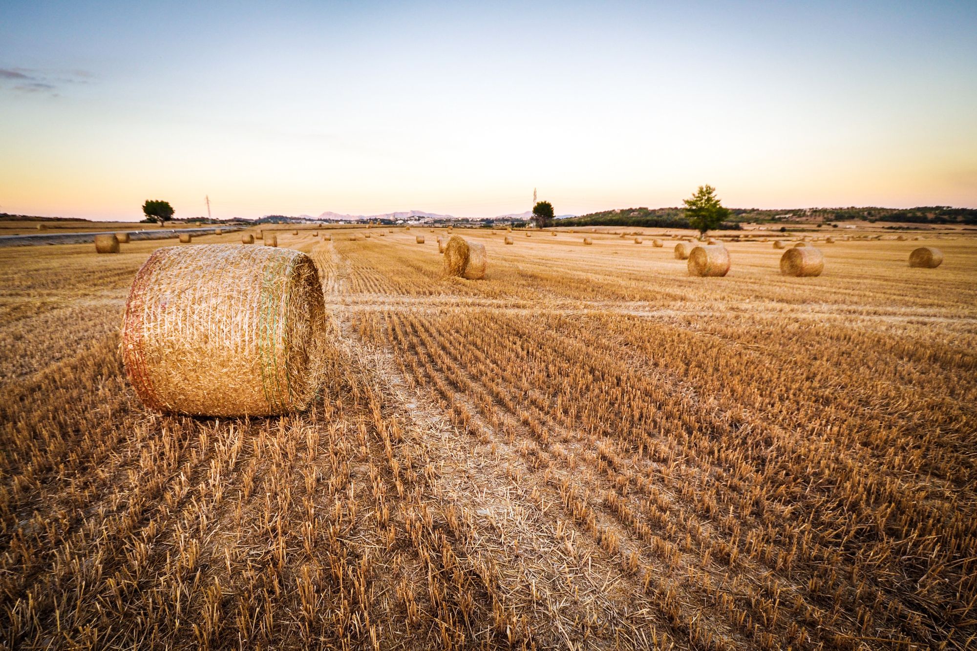 Go Make Hay!