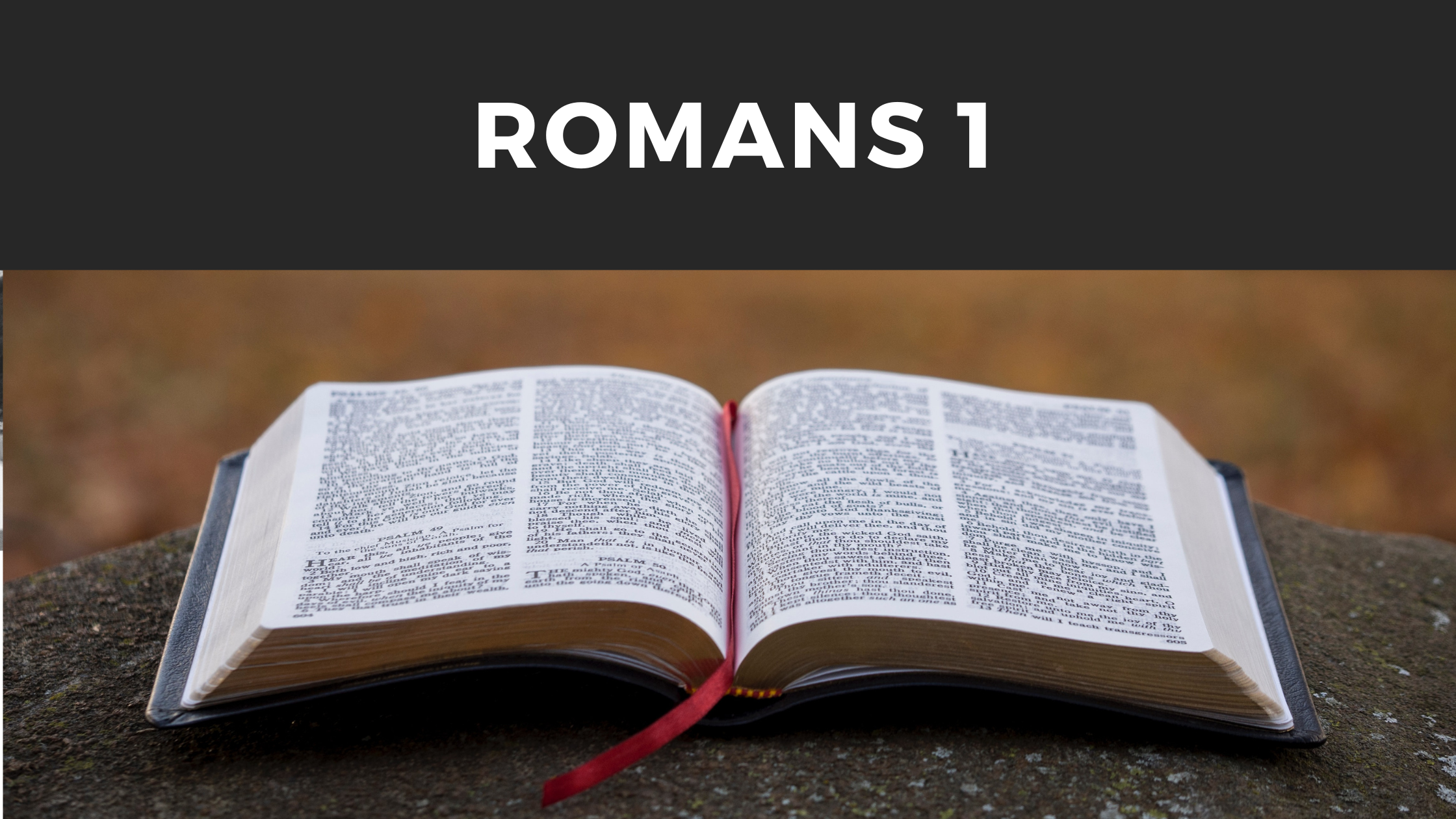 Romans 1 - Expository Sermons