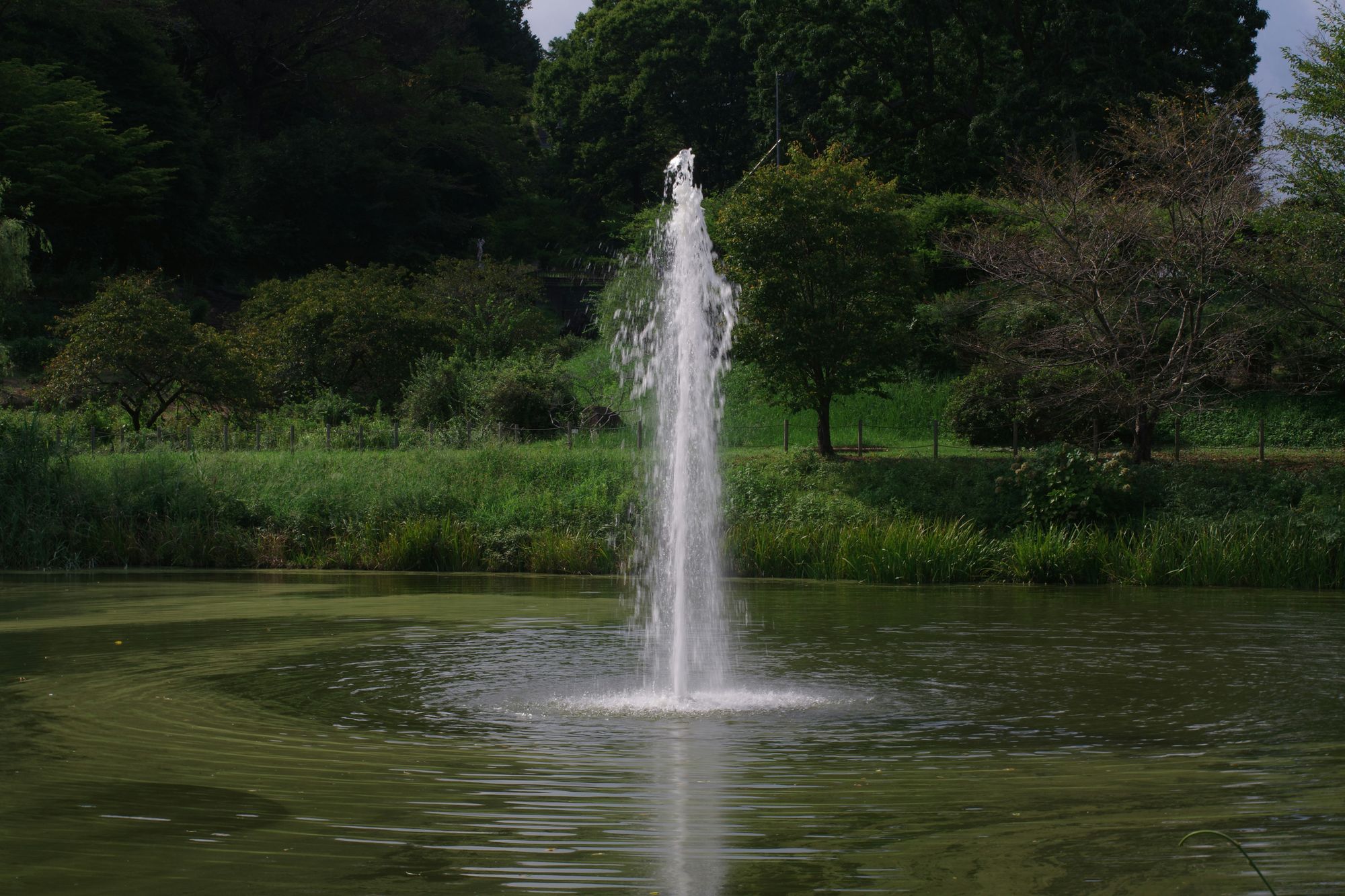 Fountain vs Faucet