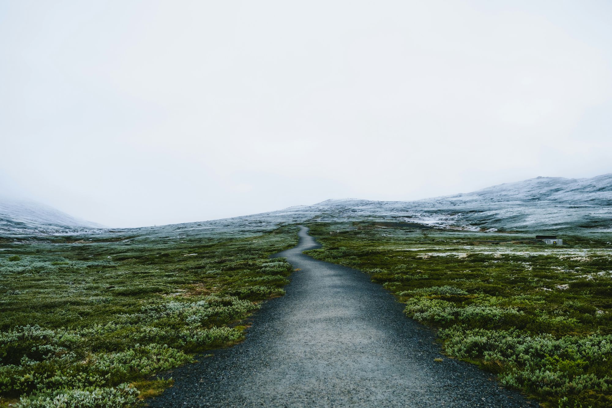 Obedience Is Not Optional