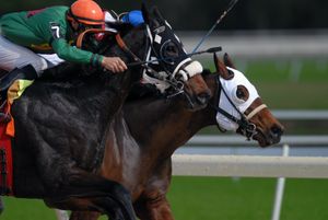 The Racetrack of Life