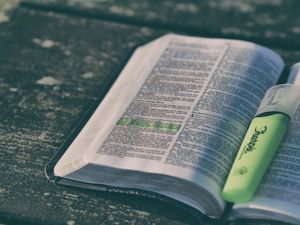 Nourished up in the words of faith