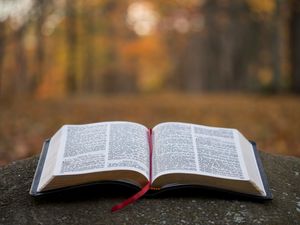 2024 Bible Conference Announcement