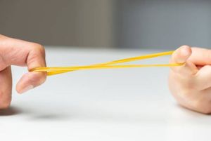 Stubbornness vs Flexibility