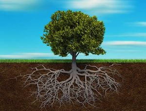 The Flourishing Journey: 30 Facets of Growing in the Lord
