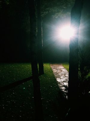 How Does Jesus Bring Light Into Our Darkness? Biblical Answers