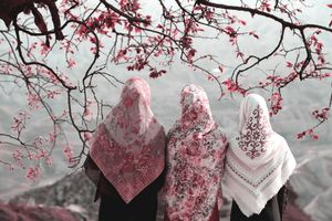 Head Coverings: What Scripture Actually Says