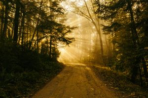 God Won't Force You to Be Holy