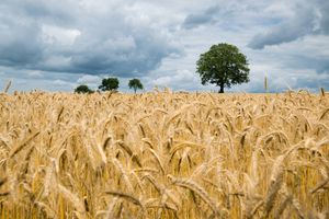 The Biblical Truth About Soul Winning Every Christian Needs to Know