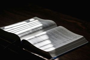Submit or Rebel: Your Only Two Options with God's Word