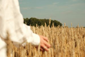 The Idolatry of the Bottom Line