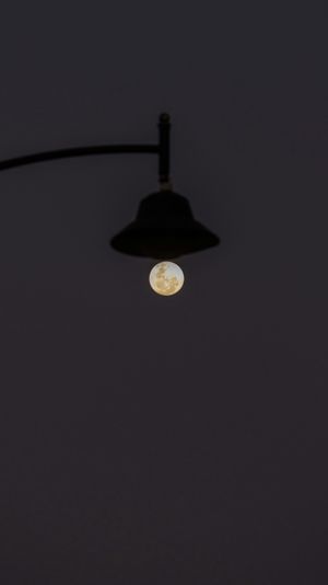 Borrowed Light