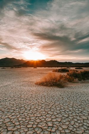 God Didn't Take the Serpents Away