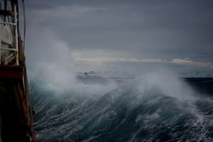 Your Storm Is Proof You Obeyed
