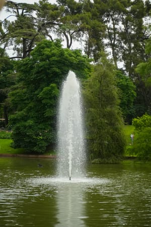 You Were Never Meant to Be a Fountain