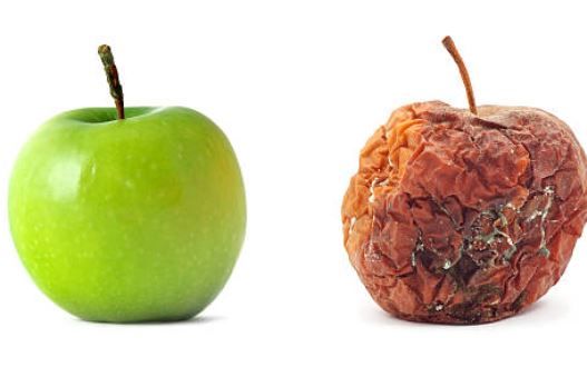 2 Types of Fruit
