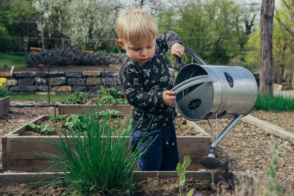 Biblical Gardening