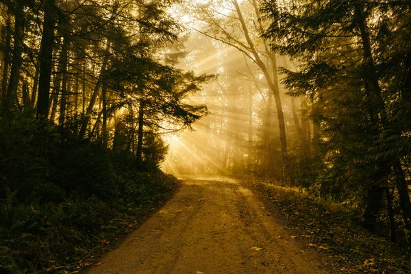 God Won't Force You to Be Holy