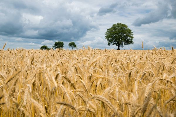 The Biblical Truth About Soul Winning Every Christian Needs to Know