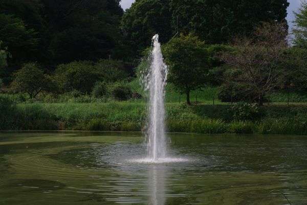 Fountain vs Faucet