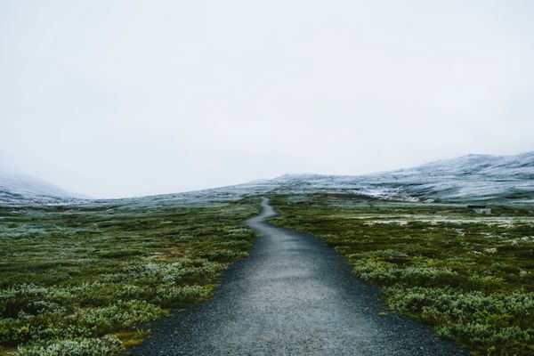 Obedience Is Not Optional