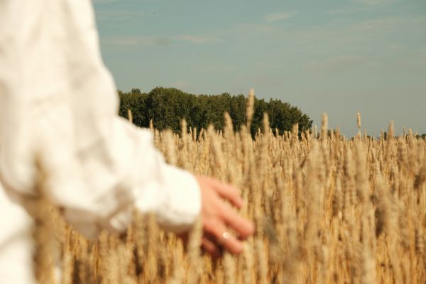 The Idolatry of the Bottom Line