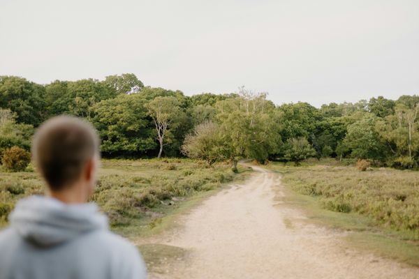 You've Known for a While Now